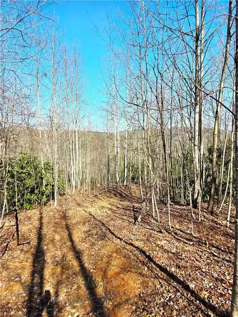 tbd Eagle Hills Rd #EAGLE HILLS, Purlear, NC 28665 photo 12