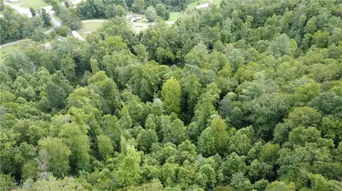 tbd Eagle Hills Rd #EAGLE HILLS, Purlear, NC 28665 photo 9