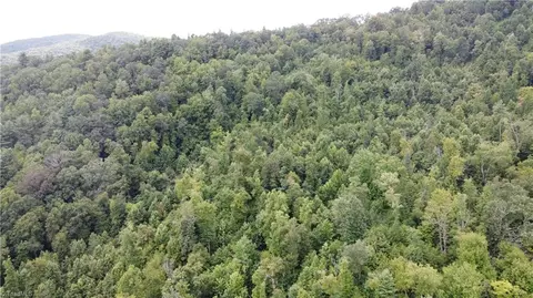 tbd Eagle Hills Rd #EAGLE HILLS, Purlear, NC 28665 photo 4