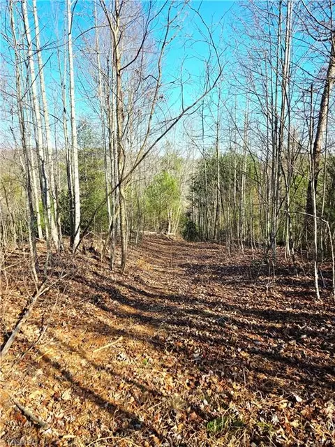 tbd Eagle Hills Rd #EAGLE HILLS, Purlear, NC 28665 photo 13