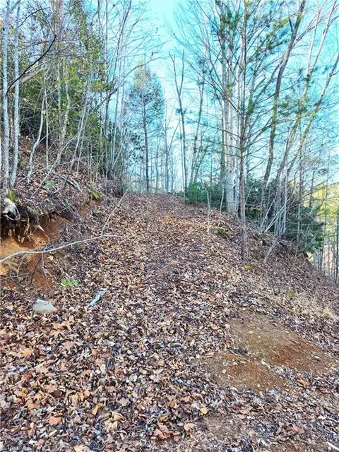 tbd Eagle Hills Rd #EAGLE HILLS, Purlear, NC 28665 photo 16