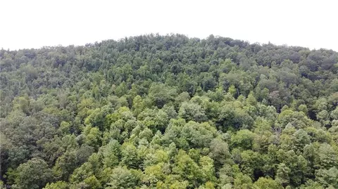 tbd Eagle Hills Rd #EAGLE HILLS, Purlear, NC 28665 photo 2