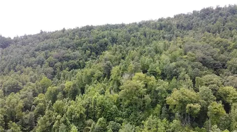 tbd Eagle Hills Rd #EAGLE HILLS, Purlear, NC 28665 photo 3