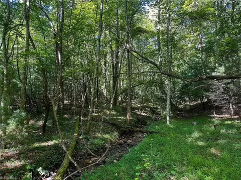 lot Apt 65 Jonathan Dr, Lowgap, NC 27024 photo 8