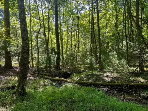 lot Apt 65 Jonathan Dr, Lowgap, NC 27024 photo 7