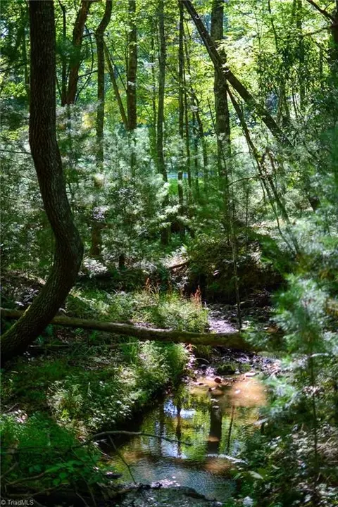 lot Apt 65 Jonathan Dr, Lowgap, NC 27024 photo 4