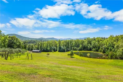 View/Area - 246 252 Bear Trl, Lowgap, NC 27024 photo 1 of 2