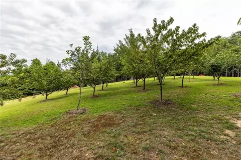 1919 Old Orchard Loop, Stuart, VA 24171 photo 28