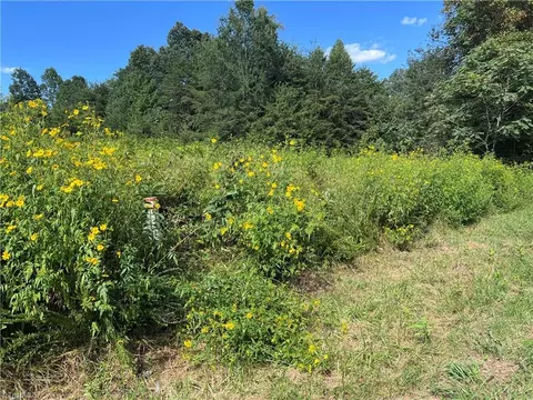 3136 K Fork Rd, Madison, NC 27025 photo 10