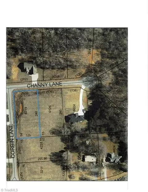 122 Channy Ln, Lexington, NC 27295