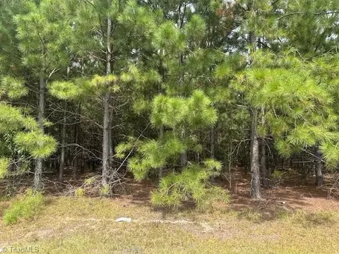 New Tract 10 Belford Church Road, Jackson Springs, NC 27281