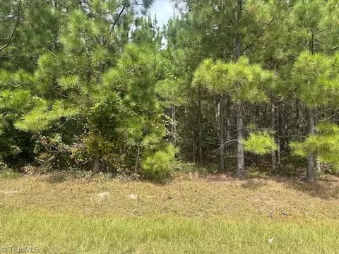 New Tract 16 Belford Church Road, Jackson Springs, NC 27281
