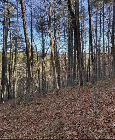 tbd Lots 1 2 Toe River Ln, Newland, NC 28657