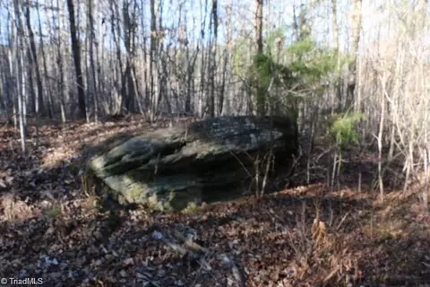 00 Thore Rd, Quaker Gap, NC 27043 photo 8