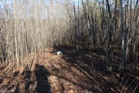 00 Thore Rd, Quaker Gap, NC 27043 photo 6