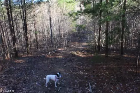00 Thore Rd, Quaker Gap, NC 27043 photo 10