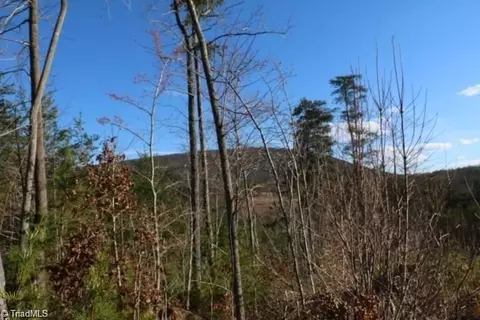 00 Thore Rd, Quaker Gap, NC 27043 photo 5