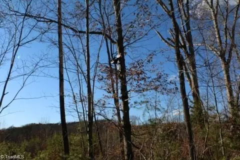00 Thore Rd, Quaker Gap, NC 27043 photo 7
