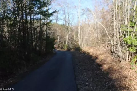 00 Thore Rd, Quaker Gap, NC 27043 photo 3