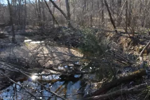00 Thore Rd, Quaker Gap, NC 27043 photo 11