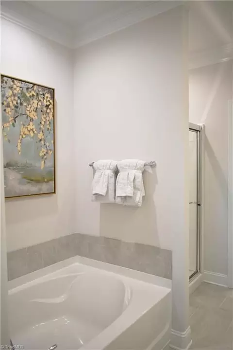 Bath - 4711 Willowstone Dr, High Point, NC 27265 photo 2 of 4