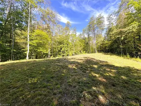 29 46 Ac Steele Rd, Sandy Ridge, NC 27046 photo 19