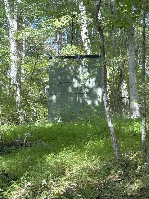 29 46 Ac Steele Rd, Sandy Ridge, NC 27046 photo 27
