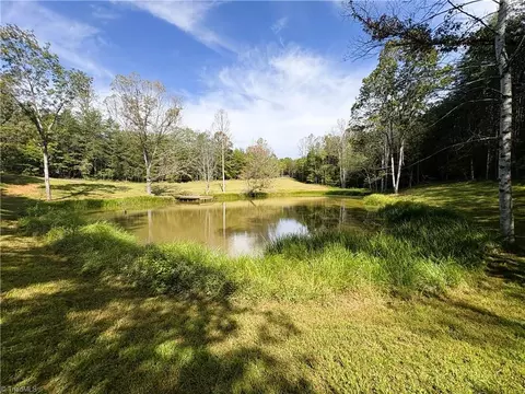 29 46 Ac Steele Rd, Sandy Ridge, NC 27046 photo 13