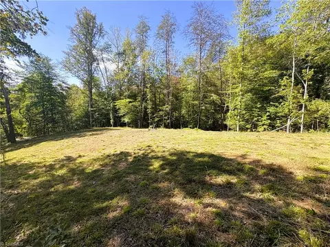 29 46 Ac Steele Rd, Sandy Ridge, NC 27046 photo 18