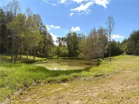 29 46 Ac Steele Rd, Sandy Ridge, NC 27046 photo 41