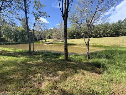 29 46 Ac Steele Rd, Sandy Ridge, NC 27046 photo 38