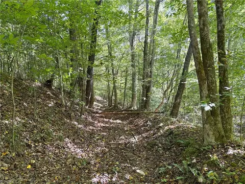 29 46 Ac Steele Rd, Sandy Ridge, NC 27046 photo 35