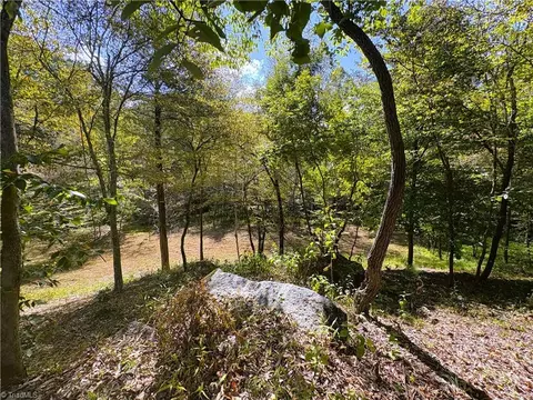 29 46 Ac Steele Rd, Sandy Ridge, NC 27046 photo 20