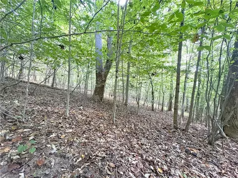 29 46 Ac Steele Rd, Sandy Ridge, NC 27046 photo 33