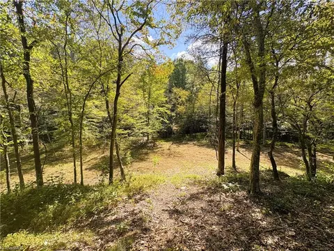 29 46 Ac Steele Rd, Sandy Ridge, NC 27046 photo 21