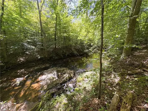 29 46 Ac Steele Rd, Sandy Ridge, NC 27046 photo 30