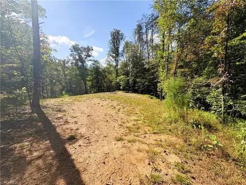 29 46 Ac Steele Rd, Sandy Ridge, NC 27046 photo 17