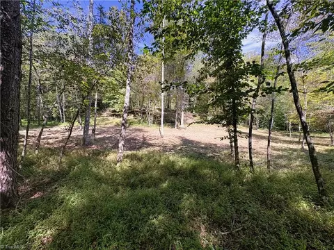 29 46 Ac Steele Rd, Sandy Ridge, NC 27046 photo 24