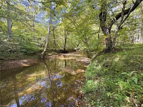 29 46 Ac Steele Rd, Sandy Ridge, NC 27046 photo 28