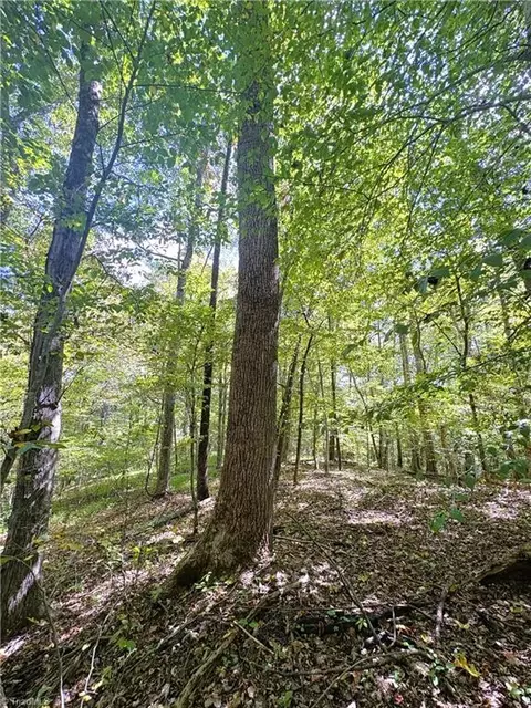 29 46 Ac Steele Rd, Sandy Ridge, NC 27046 photo 34