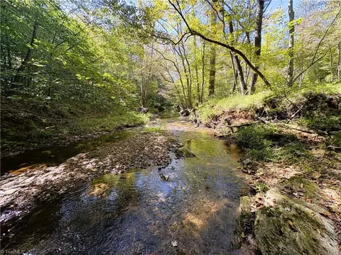 29 46 Ac Steele Rd, Sandy Ridge, NC 27046 photo 2