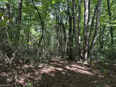 60 Jonathan Dr, Lowgap, NC 27024 photo 2