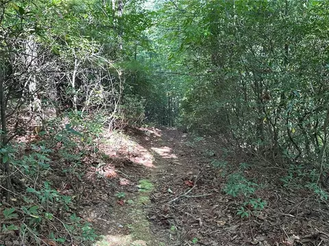 60 Jonathan Dr, Lowgap, NC 27024 photo 18