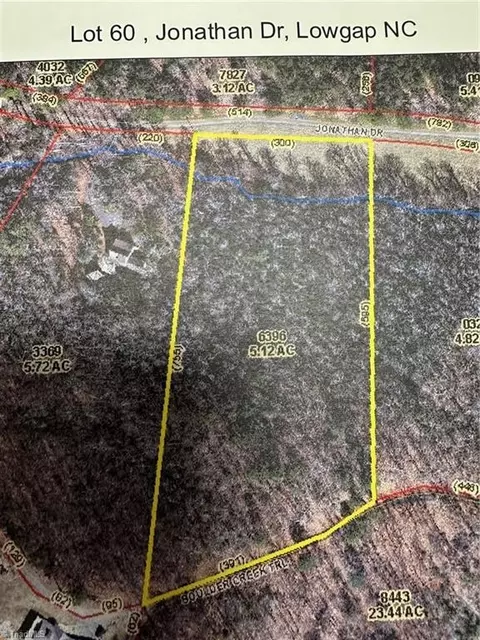 60 Jonathan Dr, Lowgap, NC 27024 photo 13