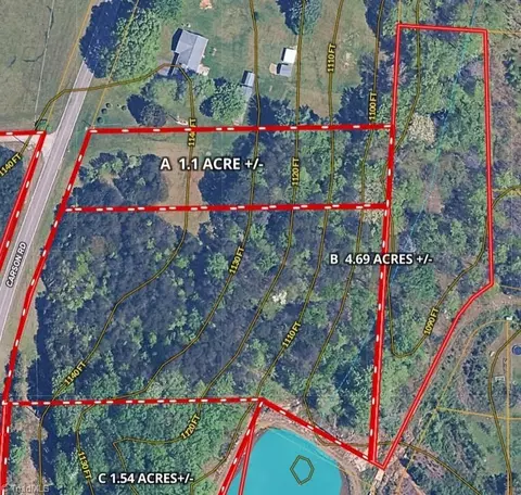 00 Carson Rd #4.6, Pilot Mountain, NC 27041