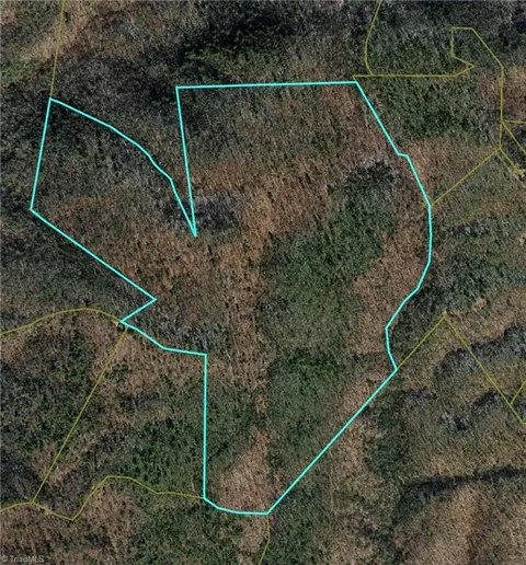 0000 Buckwheat Rd, Mcgrady, NC 28649