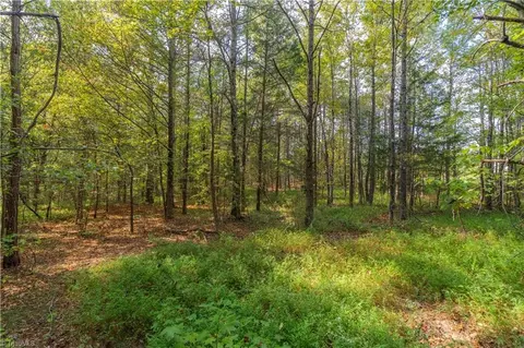 0 Hampton Rd, Germanton, NC 27019 photo 16