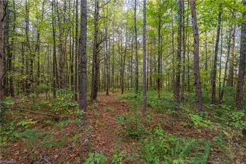 0 Hampton Rd, Germanton, NC 27019 photo 15