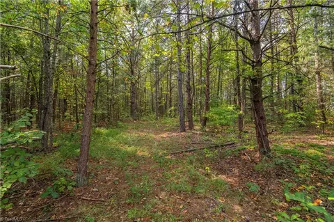 0 Hampton Rd, Germanton, NC 27019 photo 14