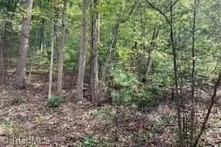 tbd Walnut Hills Cir, Crumpler, NC 28617 photo 4